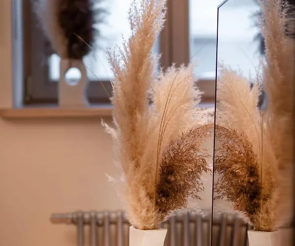 Old Two Bedroom With 2 Bathrooms Ryga