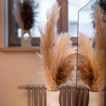 Old Two Bedroom With 2 Bathrooms Riga